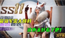 密语绒猫和平精英最新爆料,和平精英全新内容即将揭晓！