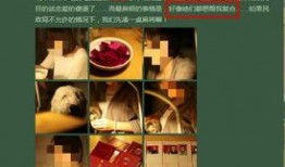 谁爆料家暴视频最新版本,家暴视频揭露惊人真相，受害者勇敢发声