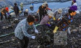 治水最新爆料,揭秘最新爆料背后的治水策略与成果